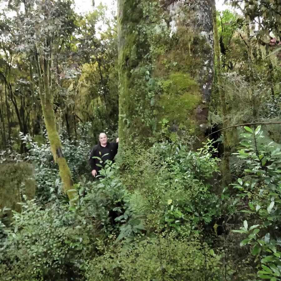 Stopforths Motel Hokitika Εξωτερικό φωτογραφία